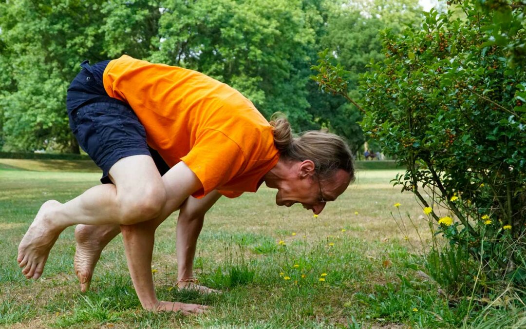 Warum ich Yoga nach Yoga Vidya liebe
