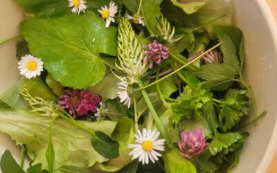 Vegane Ernährung aus schamanischer Sicht