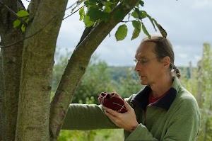 Ortsbild von „Schamanisch-energetische Arbeit und Yoga - Jürgen König“